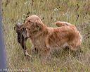 20181006-wcl-0462