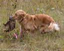 20181006-wcl-0465