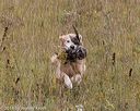 20181006-wcl-0508