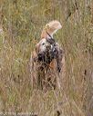 20181006-wcl-0514