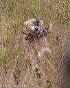 20181006-wcl-0516