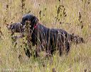 20181006-wcl-0576