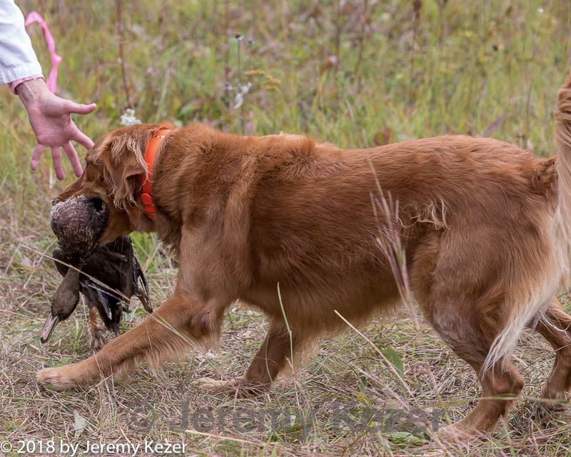 20181006-wcl-0449.jpg