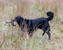 20181006-wcxl-0011