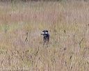 20181006-wcxl-0020