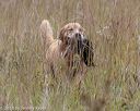 20181006-wcxl-0123