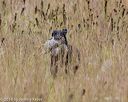 20181006-wcxl-0152