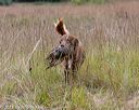 20181006-wcxl-0231