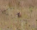 20181006-wcxl-0240