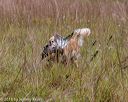 20181006-wcxl-0272