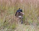 20181006-wcxl-0356