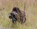 20181006-wcxl-0407