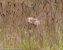 20181006-wcxl-0561