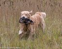 20181006-wcxl-0566
