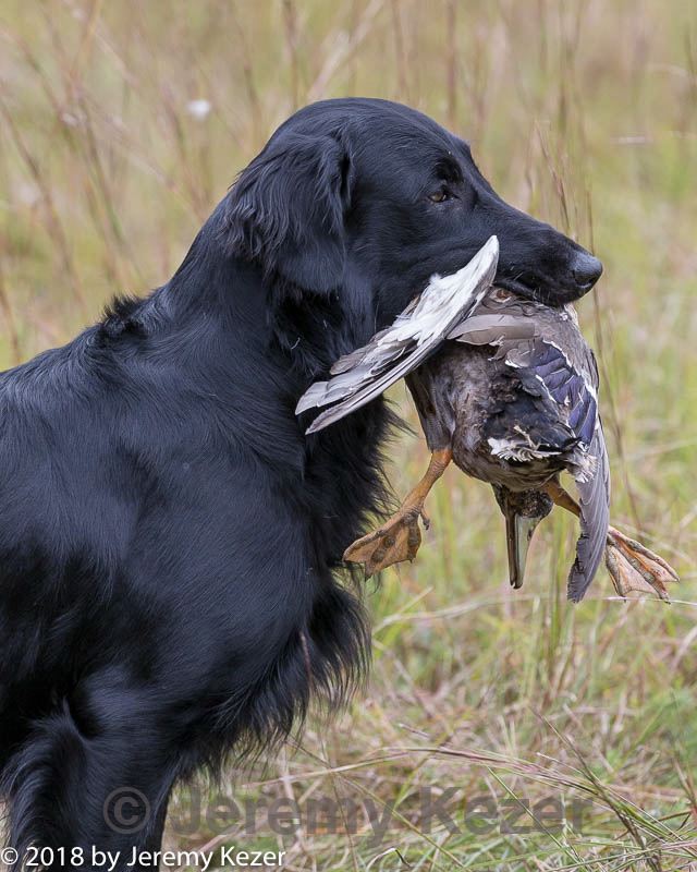 20181006-wcxl-0692.jpg