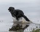 20181006-wcxw-0118