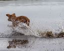 20181006-wcxw-0299