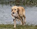20181006-wcxw-0394