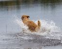 20181006-wcxw-0403