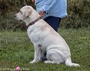 20181006-wcxw-0684