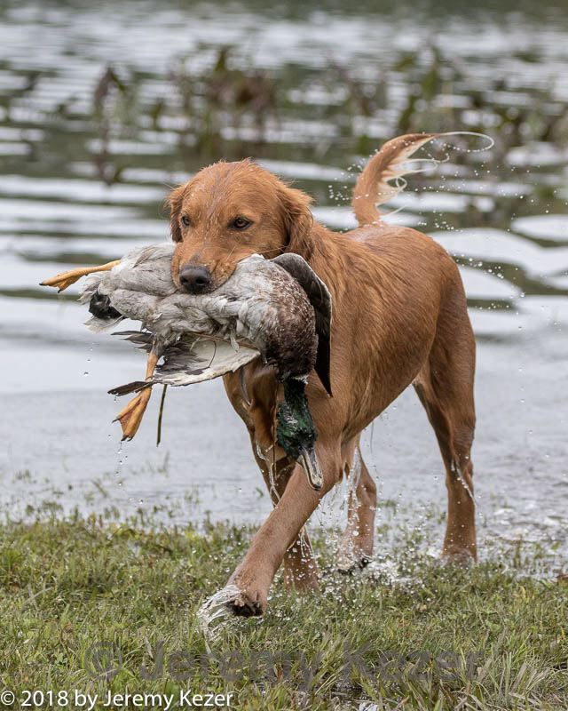 20181006-wcxw-0345.jpg