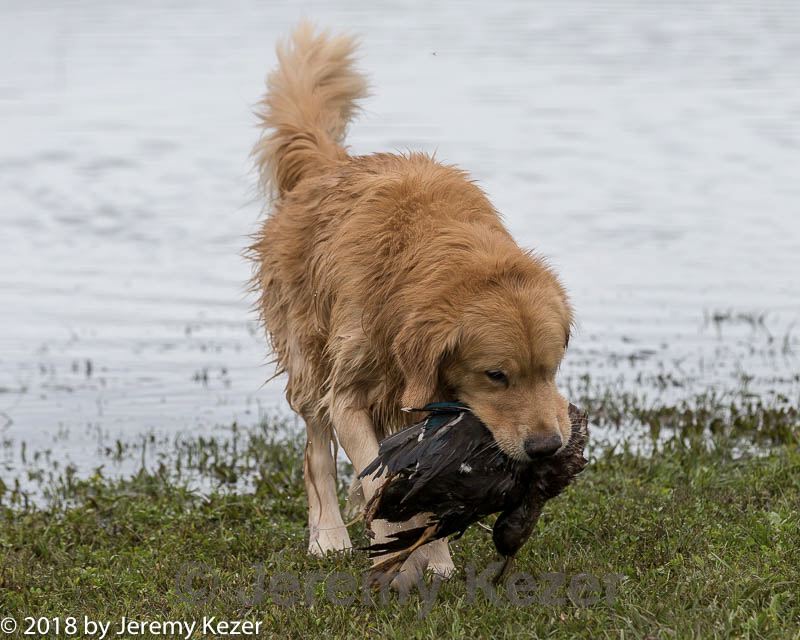 20181006-wcxw-0529.jpg