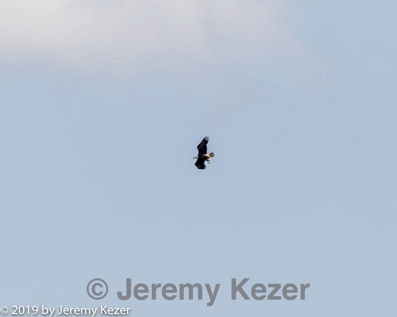 20190803-c-0016.jpg