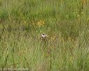 20190803-jhl-0438