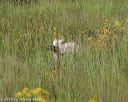 20190803-jhl-0482