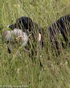 20190803-jhl-0643
