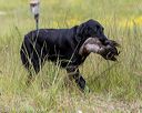20190803-jhl-0665