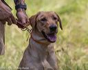 20190803-jhl-0897
