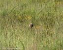 20190803-jhl-0926