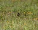 20190803-jhl-0960