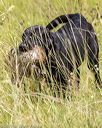 20190803-jhl-1099
