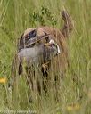 20190803-jhl-1243