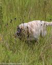 20190803-jhl-1291