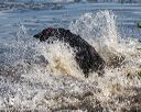 20190803-jhw-0259