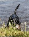 20190803-jhw-0291