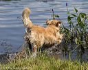 20190803-jhw-0297