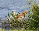 20190803-jhw-0598