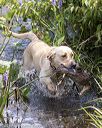 20190803-jhw-0757