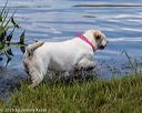 20190803-jhw-0791
