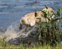 20190803-jhw-0843