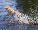 20190803-jhw-0880