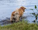 20190803-jhw-0999