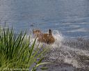20190803-jhw-1289