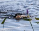 20190803-jhw-1423