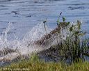 20190803-jhw-1531