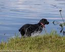 20190803-jhw-1573